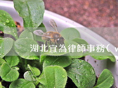 湖北宜為律師事務(wù)所(湖北宜昌律師)