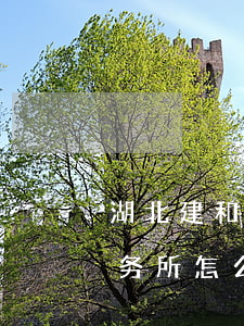 湖北建和律师事务所怎么样(湖北建弘律师事务所怎么样)