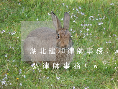 湖北建和律師事務(wù)所怎么樣(湖北建弘律師事務(wù)所怎么樣)