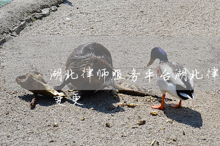 湖北律师服务平台(湖北律师服务平台 手机号变更)