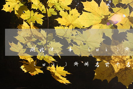 湖北律師事務(wù)所排名(湖北律師事務(wù)所排名前十名)