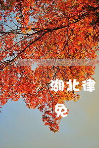 湖北律師網(wǎng)(湖北律師在線咨詢免費)