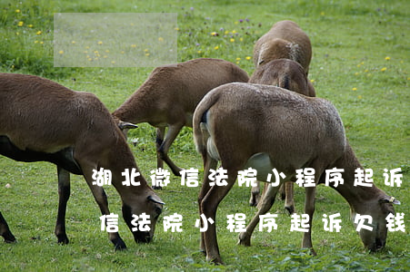 湖北微信法院小程序起诉欠钱流程-湖北微信法院小程序起诉欠钱流程图