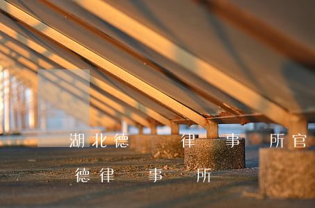 湖北德來頌律師事務所官網(wǎng)(從德律師事務所)