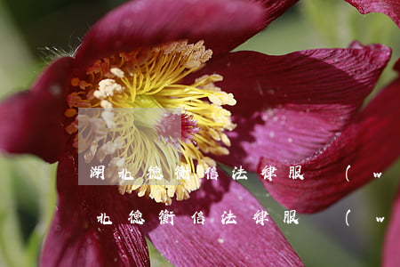 湖北德衡信法律服務(wù)中心律師函(湖北德衡信法律服務(wù)中心是否可以立案)