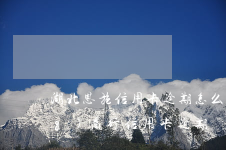 湖北恩施信用卡逾期怎么辦(湖北農(nóng)商行信用卡逾期)