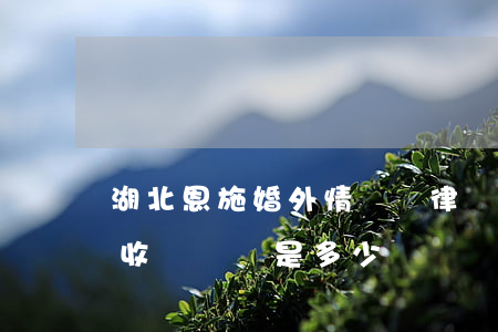湖北恩施婚外情糾紛律師收費標準(恩施律師收費標準是多少)