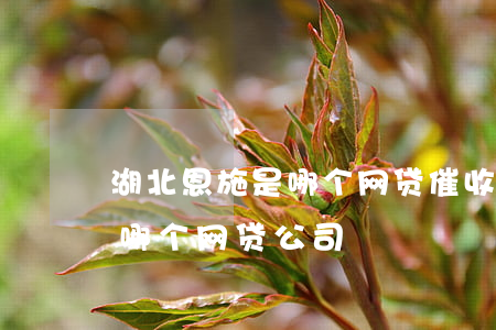 湖北恩施是哪个网贷催收(湖南的催收一般是哪个网贷公司)