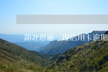 湖北恩施處理信用卡逾期的