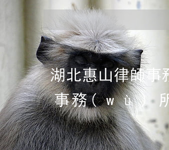 湖北惠山律師事務(wù)所(廣東莞惠律師事務(wù)所)