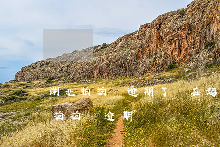 湖北拍拍貸,逾期了,現在起訴我,是真是假（湖北拍拍貸逾期）