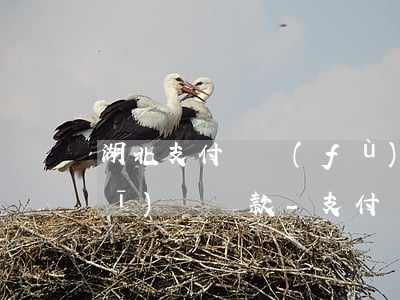 湖北支付寶負(fù)債逾期如何規(guī)劃還款-支付寶欠款逾期處理方式