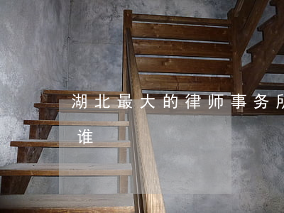 湖北最大的律师事务所(湖北最有名的律师是谁)