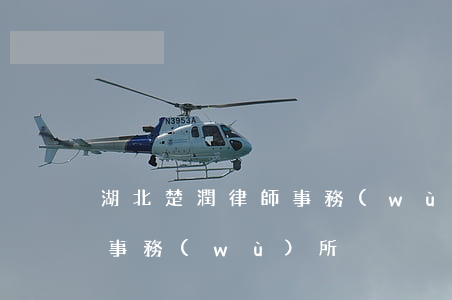 湖北楚潤律師事務(wù)所(湖北楚德律師事務(wù)所)