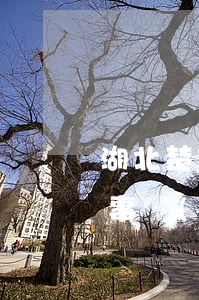 湖北楚邦律師事務(wù)所(湖北楚融律師事務(wù)所)