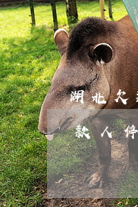 湖北欠款人停息掛賬會影響征信嗎-湖北欠款人停息掛賬會影響征信嗎知乎