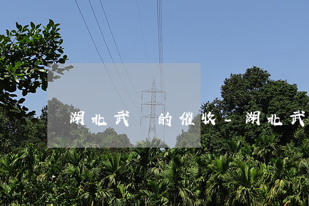 湖北武漢的催收-湖北武漢催收什么平臺