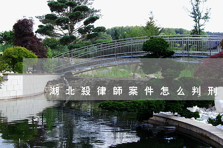 湖北殺律師案件怎么判刑(律師被殺最新案例)