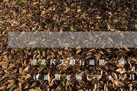 湖北民生銀行逾期一個(gè)月-民生銀行逾期半個(gè)月,還最低還能用嗎
