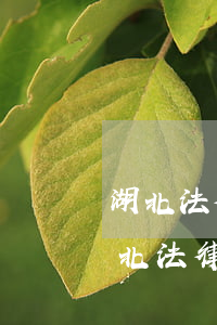 湖北法律服務(wù)招標(biāo)(湖北法律咨詢有限公司)