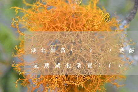 湖北消費(fèi)金融網(wǎng)貸逾期(湖北消費(fèi)金融公司是網(wǎng)貸嗎)