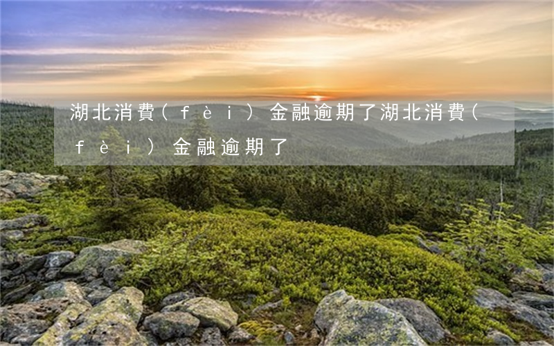 湖北消費(fèi)金融逾期了(湖北消費(fèi)金融逾期了)