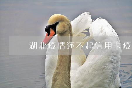 湖北疫情还不起信用卡(疫情无力偿还信用卡)