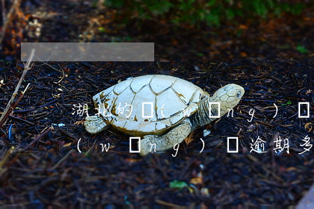 湖北的網(wǎng)貸逾期有么有(你們網(wǎng)貸逾期多久了)