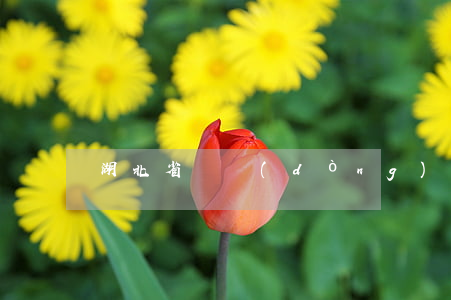 湖北省勞動(dòng)合同