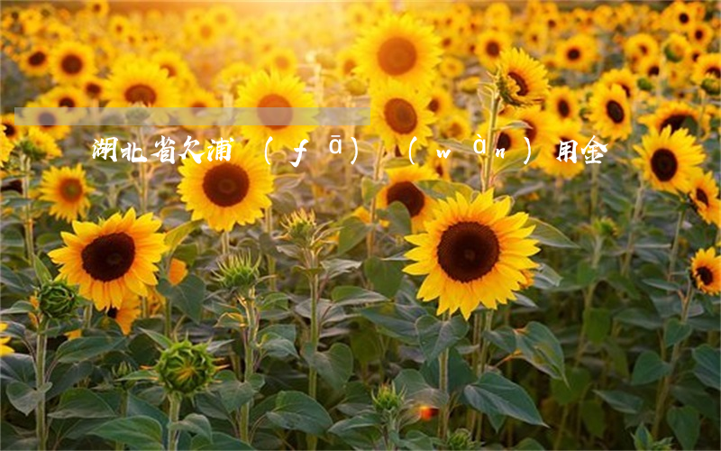 湖北省欠浦發(fā)萬(wàn)用金
