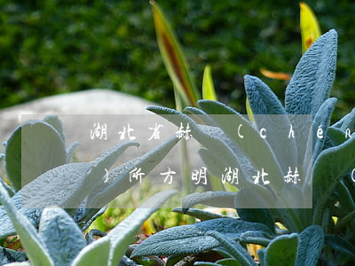 湖北省赫誠(chéng)律師事務(wù)所方明(湖北赫誠(chéng)律師方明郵寄律師函給我)