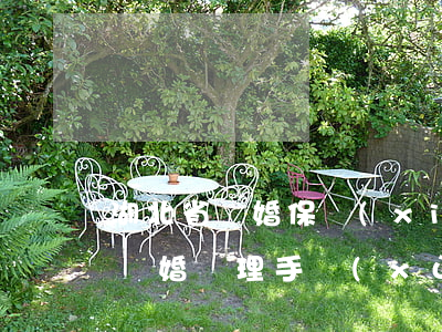 湖北省離婚保險(xiǎn)怎么辦(湖北省離婚辦理手續(xù))