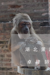 湖北策誠律師事務(wù)所怎么樣(湖北楚卓律師事務(wù)所怎么樣)