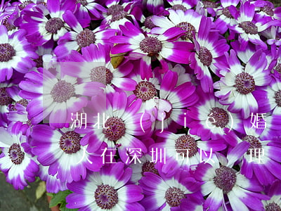 湖北結(jié)婚證能在深圳離婚嗎(湖南人在深圳可以辦理離婚嗎)