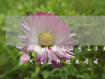 湖北结婚上海可以办离婚吗(在上海登记结婚可以在外地离婚吗)
