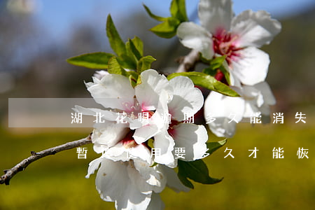 湖北花唄逾期多久能消失(花唄逾期了幾天被暫停使用要多久才能恢復(fù))