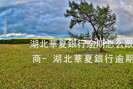 湖北華夏銀行逾期怎么跟銀行協(xié)商-湖北華夏銀行逾期怎么跟銀行協(xié)商還款