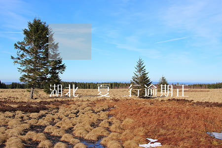 湖北華夏銀行逾期正確處理方案-