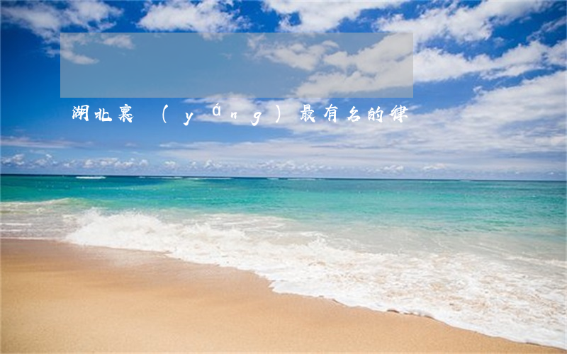 湖北襄陽(yáng)最有名的律師
