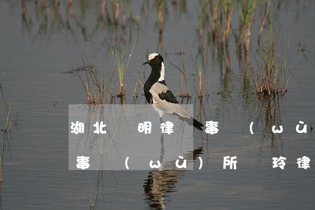 湖北誠明律師事務(wù)所(湖北誠明律師事務(wù)所劉玲律師)