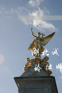 湖北诚明律师事务所(湖北诚明律师事务所刘玲律师)