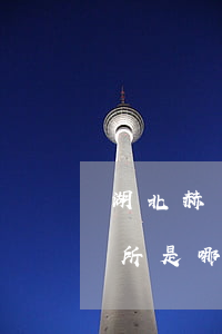 湖北赫誠(chéng)律師事務(wù)所是哪個(gè)網(wǎng)貸的(湖北赫權(quán)法律咨詢有限公司可信嗎)