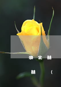 湖北赫誠(chéng)律師方明催收(湖北赫誠(chéng)律師方明郵寄律師函給我)