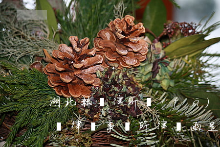 湖北赫誠律所發(fā)律師函(收到湖北赫誠律師事務所律師函是真的嗎)