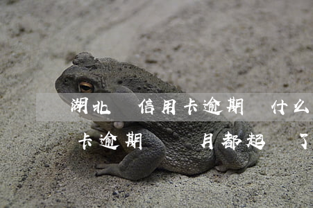 湖北農信用卡逾期(為什么農業(yè)信用卡逾期幾個月都起訴了)