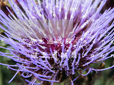 湖北通城農(nóng)商銀行信用卡逾期(湖北通城農(nóng)商銀行信用卡逾期一天)