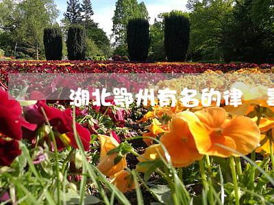 湖北鄂州有名的律師事務所(鄂州律師在線咨詢)
