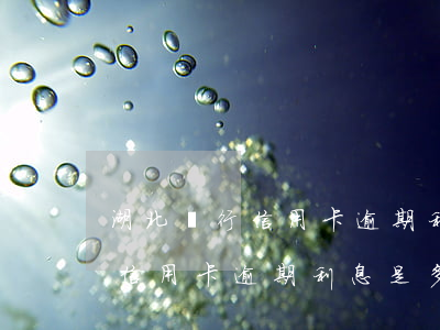 湖北銀行信用卡逾期利息是多少-湖北銀行信用卡逾期利息是多少錢