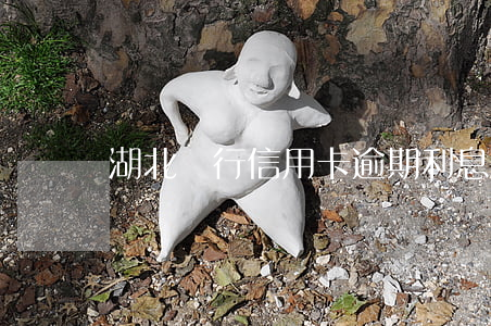 湖北銀行信用卡逾期利息是多少