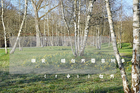 湖北離婚女方要支付多少撫養(yǎng)費(fèi)(女方離婚撫養(yǎng)費(fèi)要給多少)